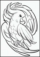 Cockatoos - Animals3