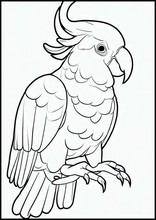 Cockatoos - Animals4