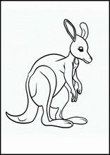 Kangaroos - Animals2