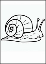 Snails - Animals4