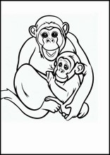 Chimpanzees - Animals1