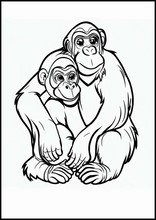 Chimpanzees - Animals4