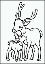 Deer - Animals1