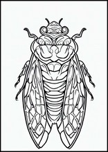 Cicadas - Animals1