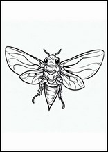 Cicadas - Animals2