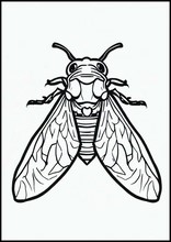 Cicadas - Animals3