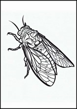Cicadas - Animals4