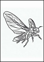 Cicadas - Animals6