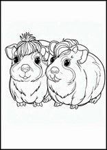 Guinea Pigs - Animals4
