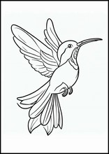 Hummingbirds - Animals6