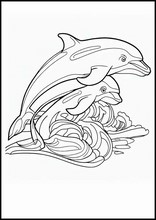 Dolphins - Animals2