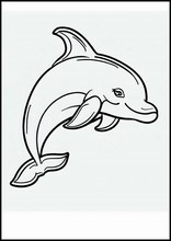 Dolphins - Animals3