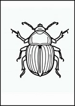 Beetles - Animals2