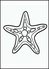 Starfish - Animals2