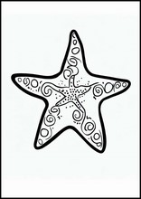 Starfish - Animals6