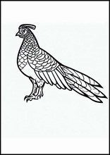 Pheasants - Animals2