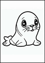 Seals - Animals2