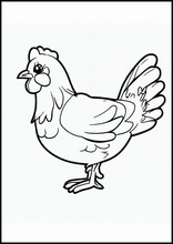 Chickens - Animals5