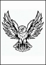 Hawks - Animals2