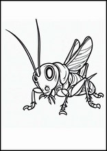 Crickets - Animals3