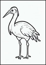 Cranes - Animals3