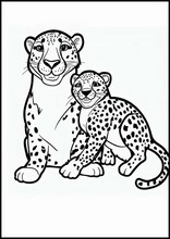Cheetahs - Animals3