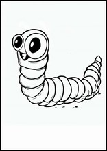 Worms - Animals5