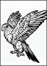 Falcons - Animals3