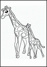 Giraffes - Animals4