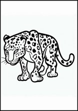 Leopards - Animals2