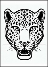 Leopards - Animals3