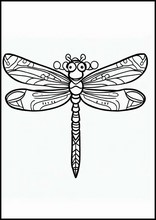 Dragonflies - Animals1