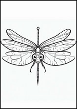 Dragonflies - Animals5
