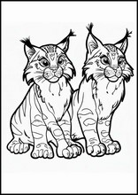 Lynxes - Animals2