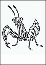 Praying Mantises - Animals2