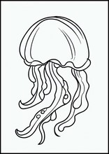 Jellyfish - Animals1