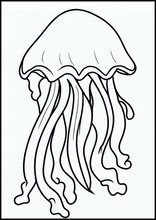 Jellyfish - Animals2