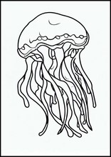 Jellyfish - Animals3