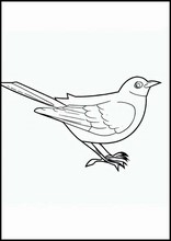 Blackbirds - Animals3