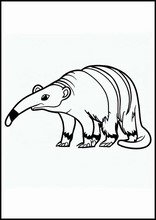 Anteaters - Animals4
