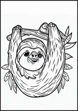 Sloths - Animals2