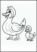 Ducks - Animals2
