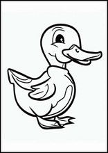 Ducks - Animals4