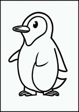 Penguins - Animals3