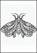 Moths - Animals2