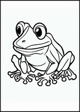 Frogs - Animals1