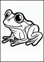 Frogs - Animals6
