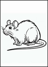 Rats - Animals2