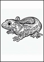 Salamanders - Animals1