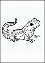 Salamanders - Animals2